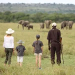 Hikers walking along the rim of Empakai Crater during Ngorongoro walking safari
