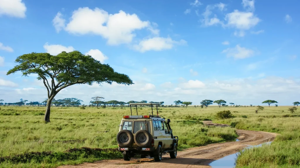 Safari jeep with red spotlight during night safari in Serengeti