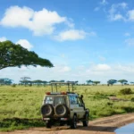 Safari jeep with red spotlight during night safari in Serengeti