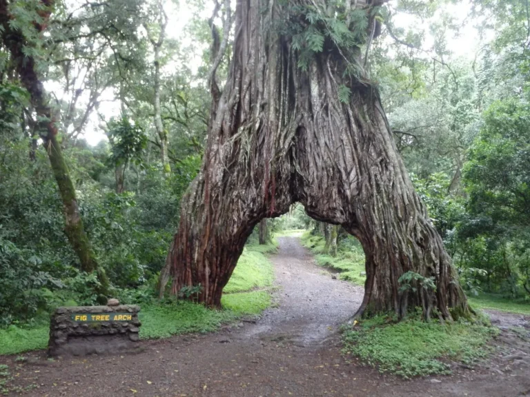 Arusha National Park